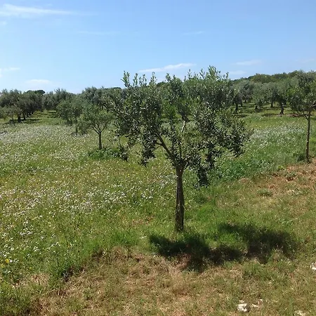 In Senia Favignana