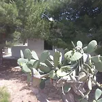 In Senia * פאביננה