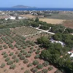 In Senia