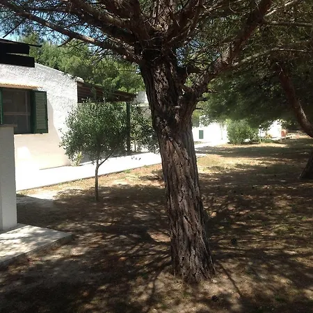 In Senia * Favignana