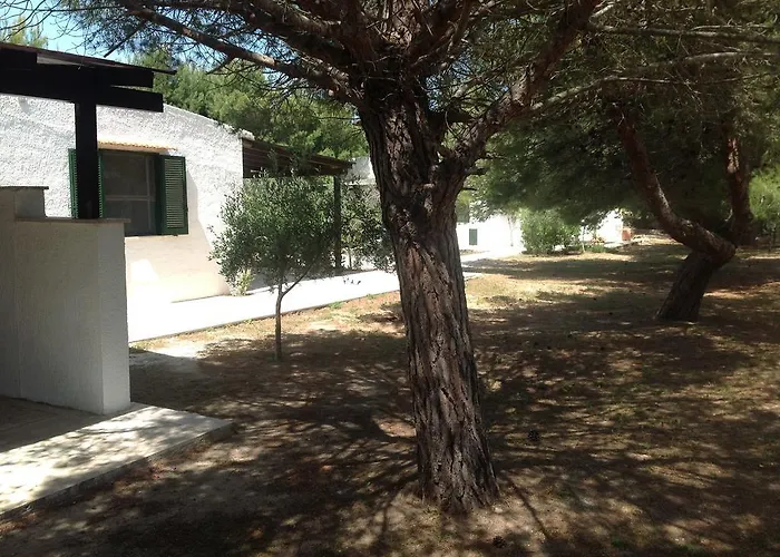 In Senia * Favignana