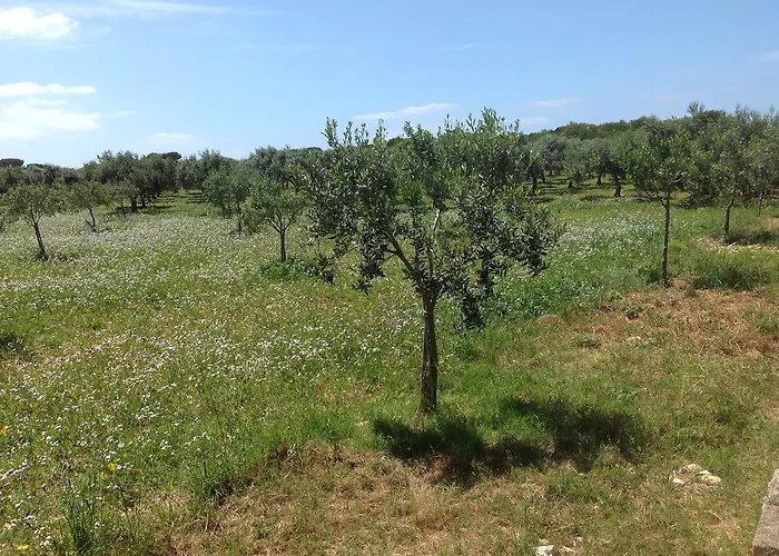 In Senia Favignana